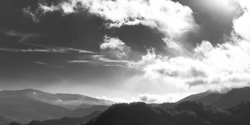 从交易到收藏：透视当代玉石文化的价值演变与市场趋势