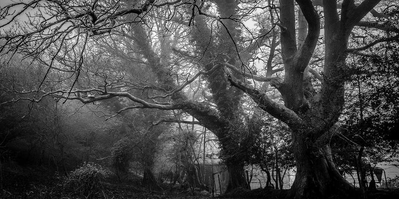 从原石到艺术品：金玉网带您见证一件和田玉山子雕的完整创作与收藏鉴赏之旅