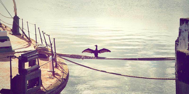 从翡翠与和田玉的收藏案例,看玉石市场的价值逻辑与鉴赏智慧