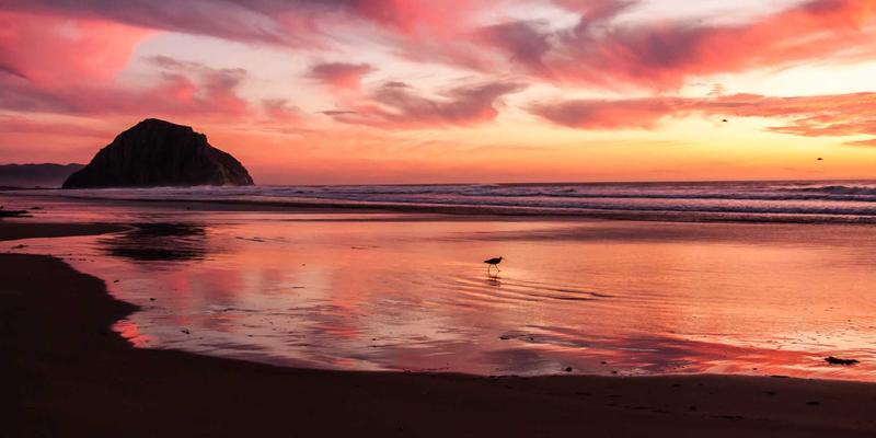 和田玉:从收藏鉴赏到市场交易的全方位指南