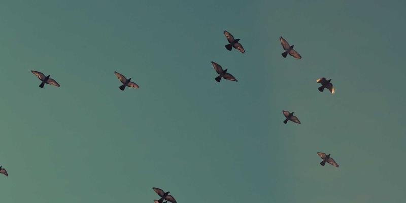 和田玉籽料皮色全解析：天然与人工染色的核心辨别技巧，助您交易鉴赏无忧