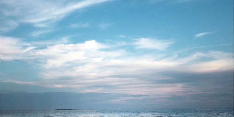 玉石63：探索和田玉的千年魅力与金玉网的收藏智慧