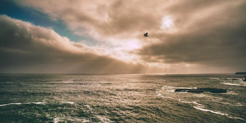 玉石84：解密翡翠鉴赏的核心维度与价值密码