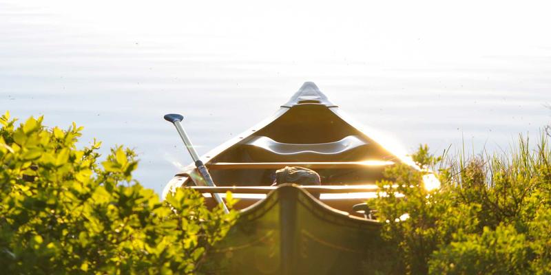 玉石89：珠宝、翡翠与鉴赏的终极指南