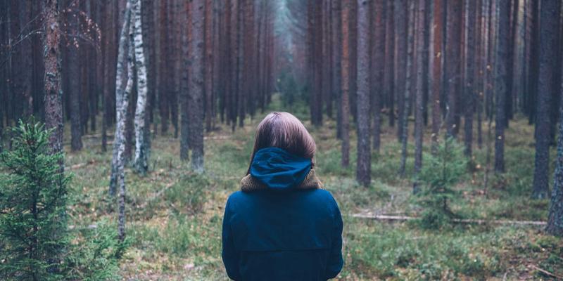 玉石之王：和田玉的鉴赏与收藏指南