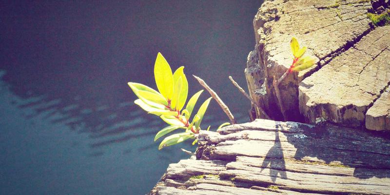 玉石收藏新纪元：翡翠领衔，宝石争辉，洞察未来价值密码