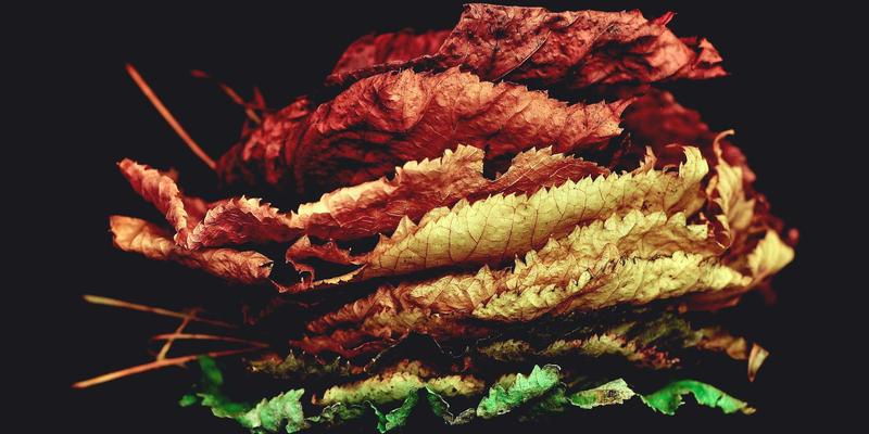 珠宝玉石交易必读：超声波雕刻与手工雕刻的辨别技巧与价值影响