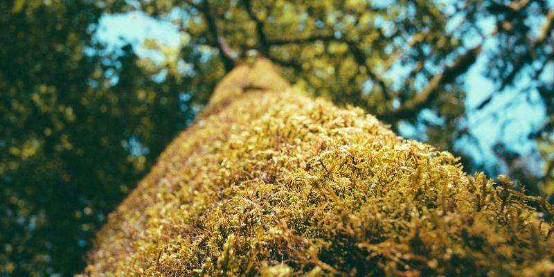 金玉网收藏指南：超声波与化学试剂——玉石首饰保养的两大隐形杀手